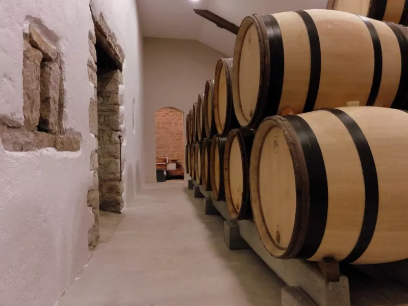 Cave vins rouges
