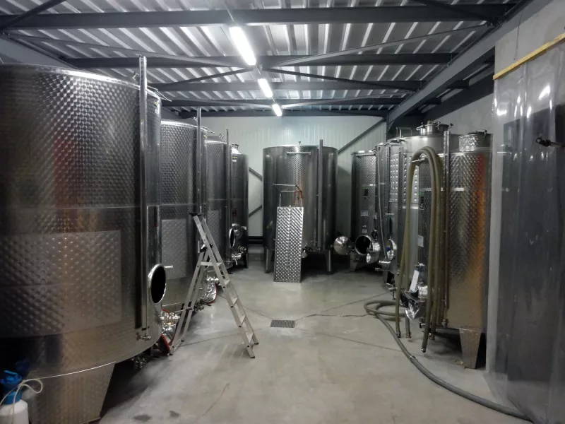 Cuverie vins blancs